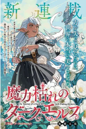 The Journey of a Dark Elf with Fading Powers  cover